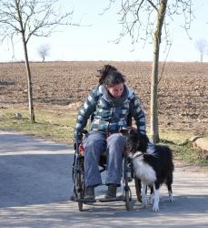 zootherapie exercice du chien et de la chaise pour PMR
