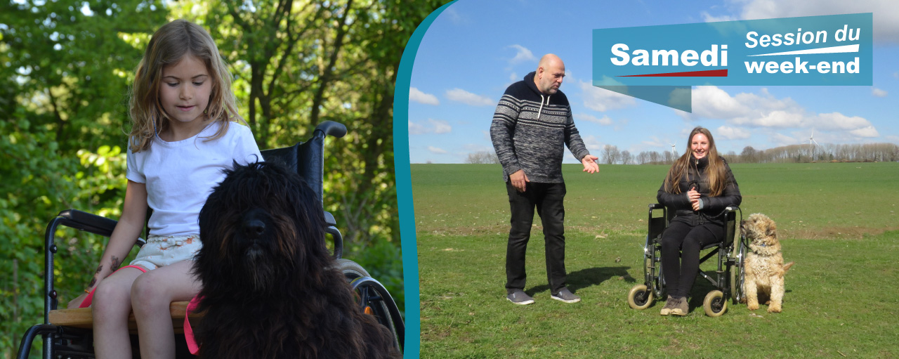 Formation courte en médiation animale ( Zoothérapie )