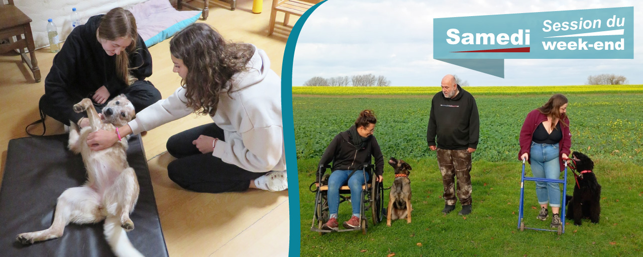 Formation courte en médiation animale ( Zoothérapie )